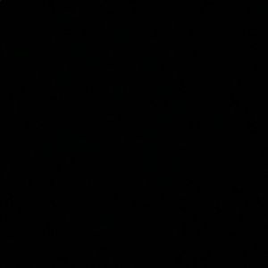 Meet your Posher, Kylie